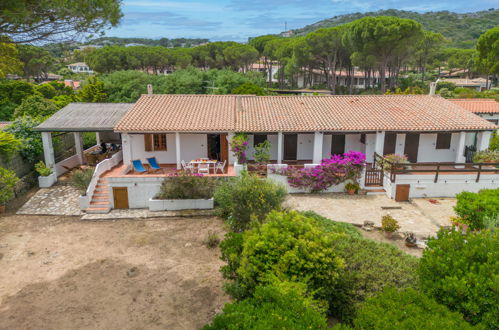 Photo 2 - Maison de 3 chambres à Santa Teresa Gallura avec jardin et terrasse