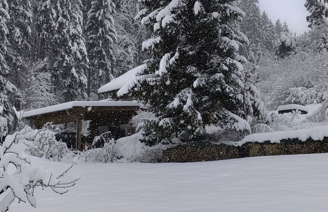 Casa de 3 quartos em Rohrbach-Berg com jardim e terraço - Foto 36