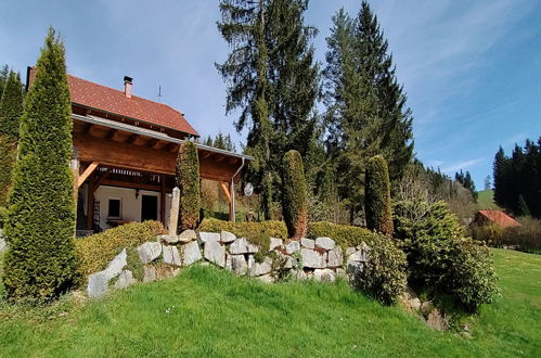 Photo 27 - Maison de 2 chambres à Rohrbach-Berg avec jardin et terrasse