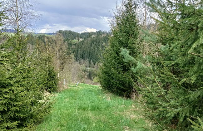 Casa de 3 quartos em Rohrbach-Berg com jardim e terraço - Foto 21