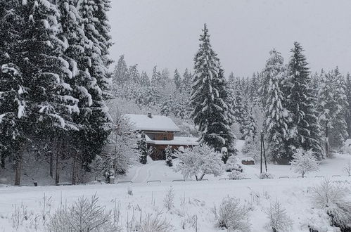 Foto 35 - Casa de 2 quartos em Rohrbach-Berg com jardim e terraço