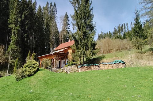 Photo 29 - Maison de 2 chambres à Rohrbach-Berg avec jardin et terrasse