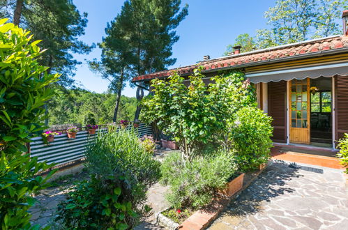 Photo 64 - 3 bedroom House in Colle di Val d'Elsa with private pool and garden