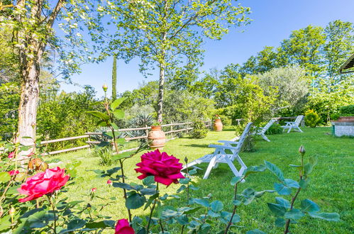 Foto 65 - Casa con 3 camere da letto a Colle di Val d'Elsa con piscina privata e giardino