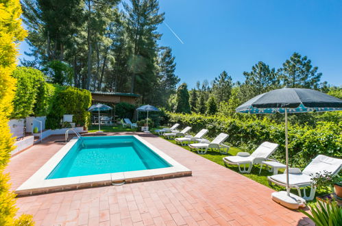 Foto 58 - Casa de 3 quartos em Colle di Val d'Elsa com piscina privada e terraço