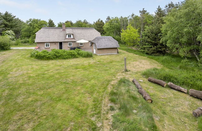 3 bedroom House in Ulfborg with terrace and sauna - Photo 6