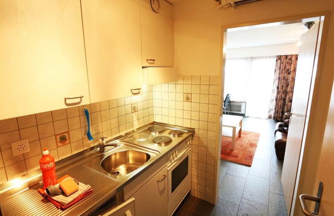 Apartamento de 1 quarto em Saas-Fee com jardim - Foto 5
