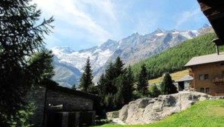 Foto 1 - Appartamento con 4 camere da letto a Saas-Fee con giardino