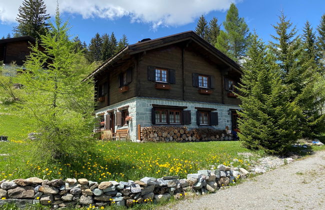 Casa con 5 camere da letto a Surses con giardino - Foto 1