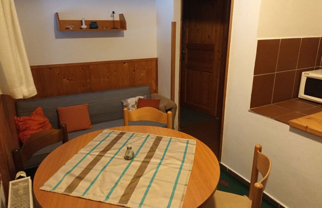 Apartamento de 2 quartos em Harrachov com jardim - Foto 5