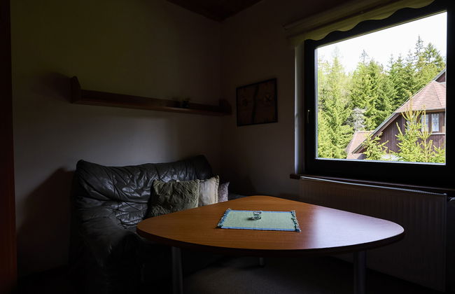 Apartamento de 4 quartos em Harrachov com jardim - Foto 16