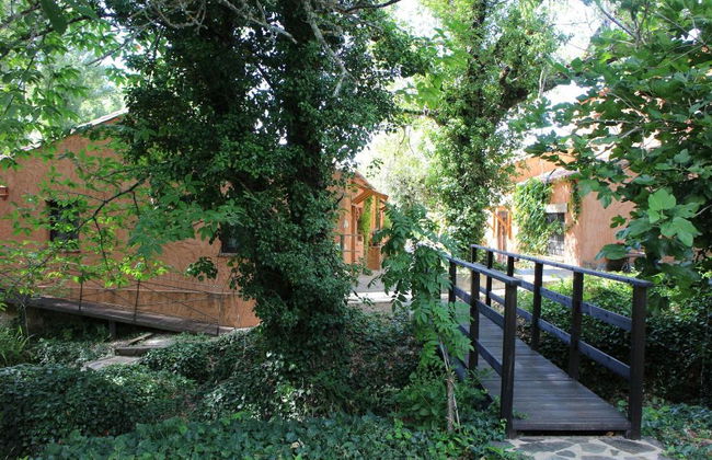 Molinos De Fuenteheridos - Foto 16
