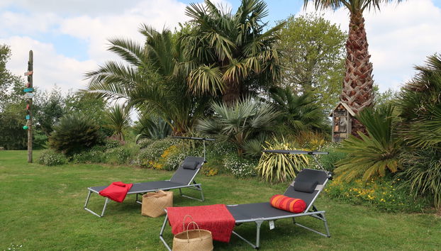 Casa de 1 quarto em Lamballe-Armor com jardim e terraço - Foto 5