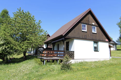 Foto 1 - Haus mit 3 Schlafzimmern in Černý Důl mit schwimmbad und garten