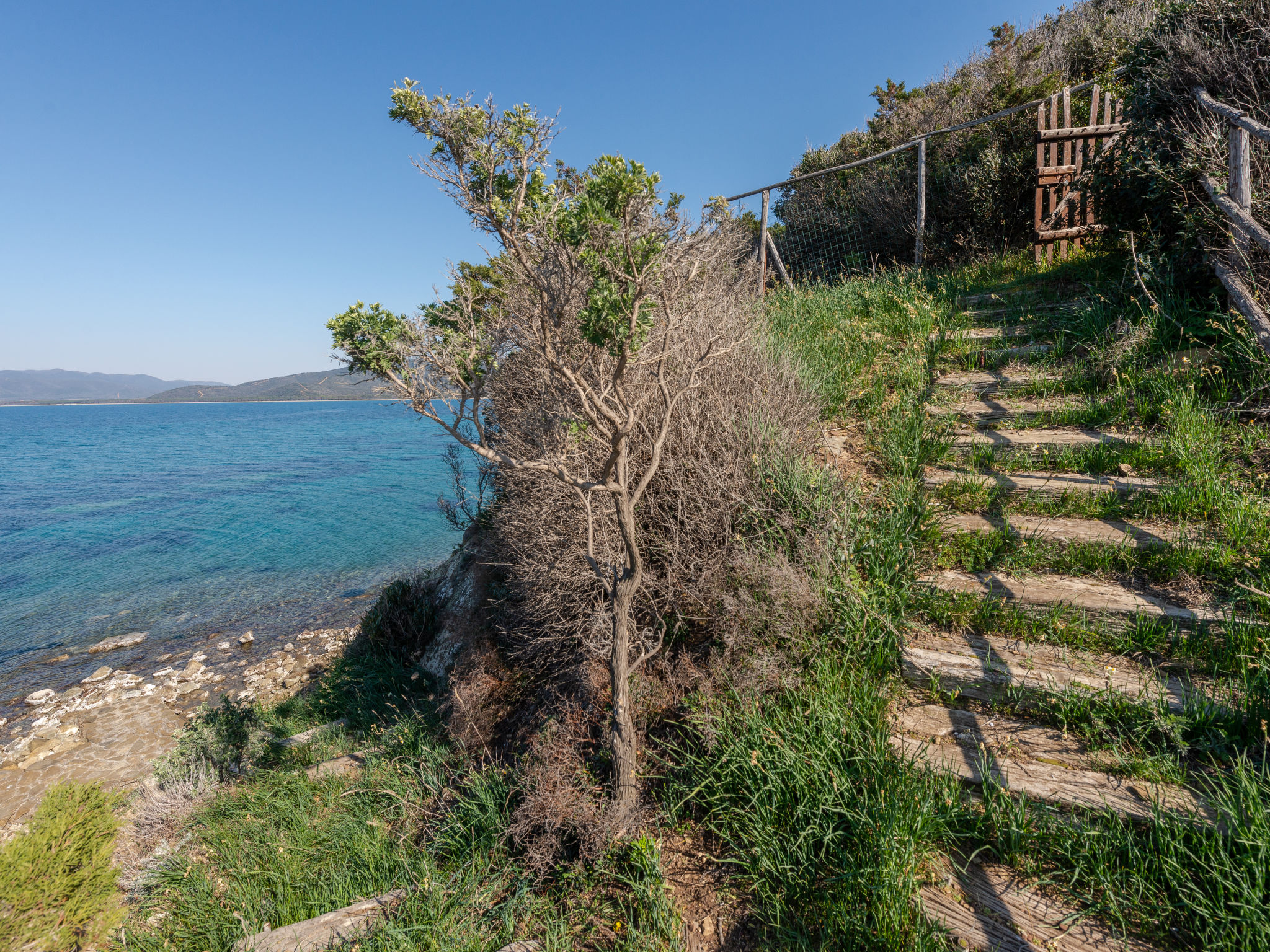 Foto 54 - Casa con 6 camere da letto a Castiglione della Pescaia con giardino e terrazza