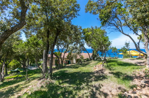 Foto 71 - Casa con 6 camere da letto a Castiglione della Pescaia con giardino e vista mare