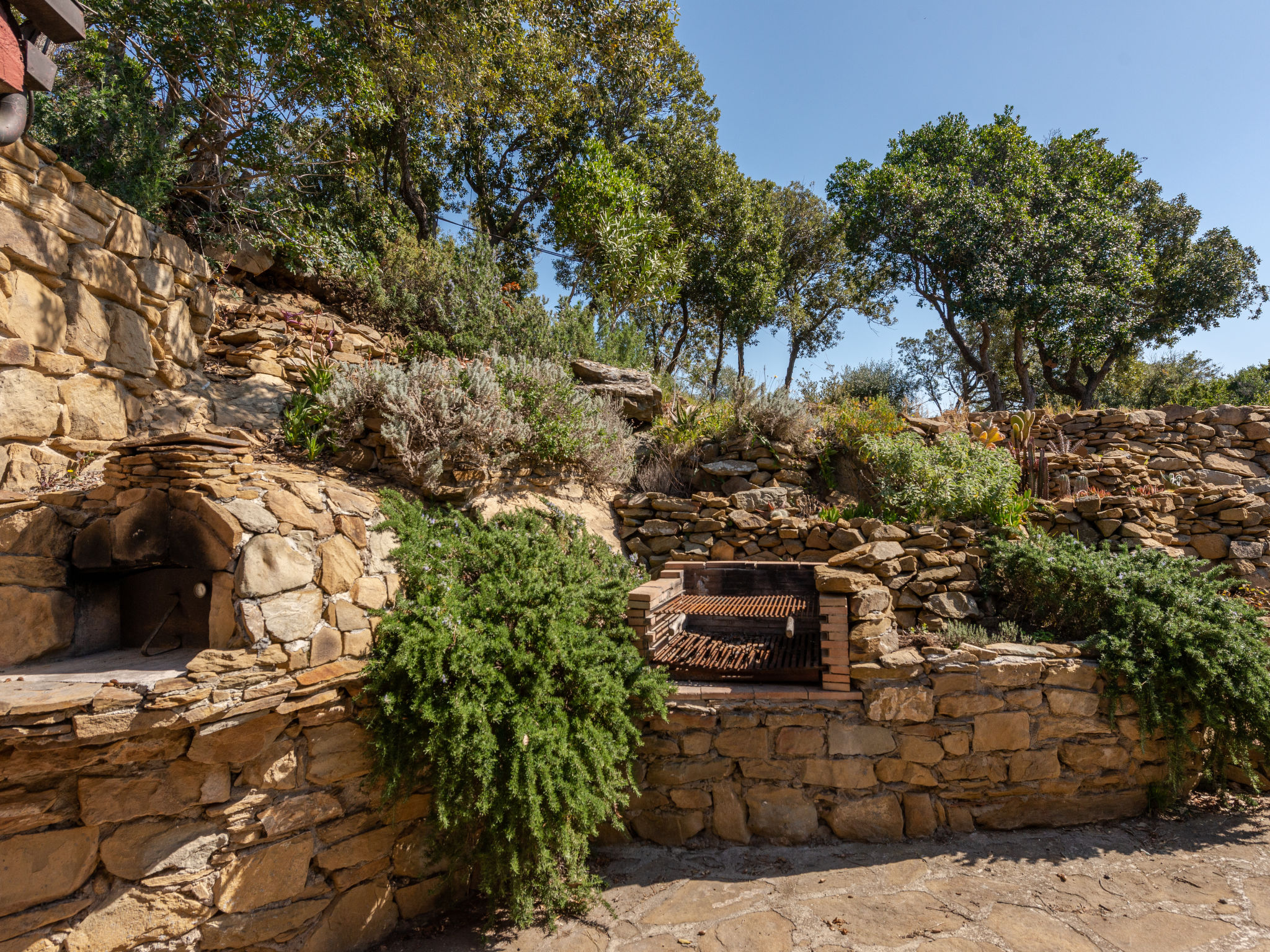 Photo 68 - 6 bedroom House in Castiglione della Pescaia with garden and terrace