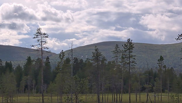Haus mit 2 Schlafzimmern in Enontekiö - Foto 3