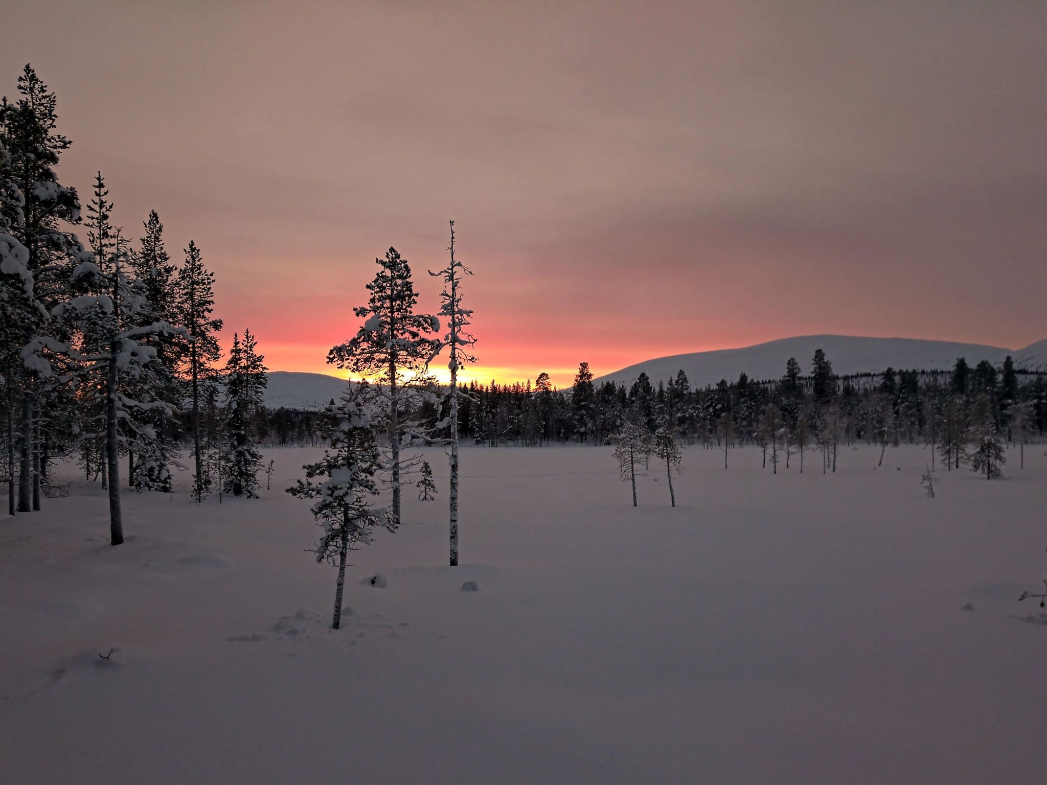 Photo 5 - 2 bedroom House in Enontekiö with sauna and mountain view