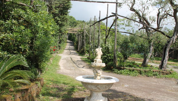 Agriturismo Piccolo Paradiso - Foto 4