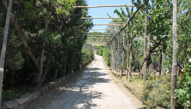 Agriturismo Piccolo Paradiso - Foto 2