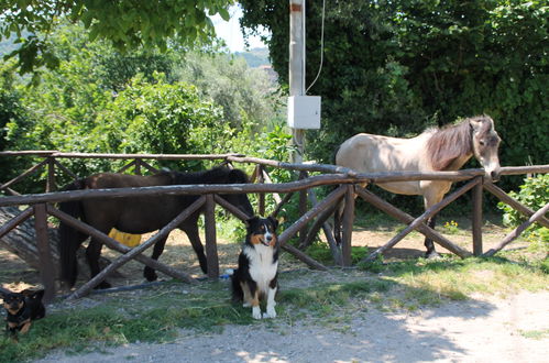 Photo 43 - Agriturismo Piccolo Paradiso