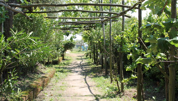 Agriturismo Piccolo Paradiso - Foto 3