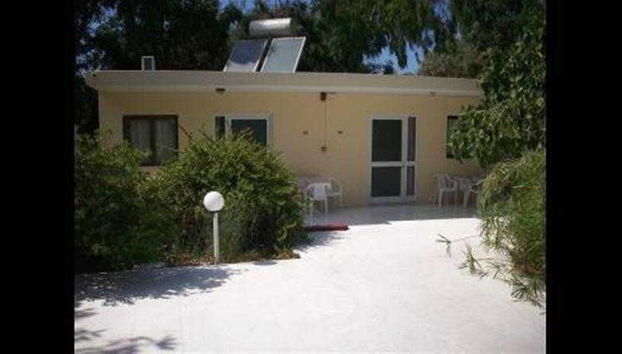 Rena Studios - Foto 2