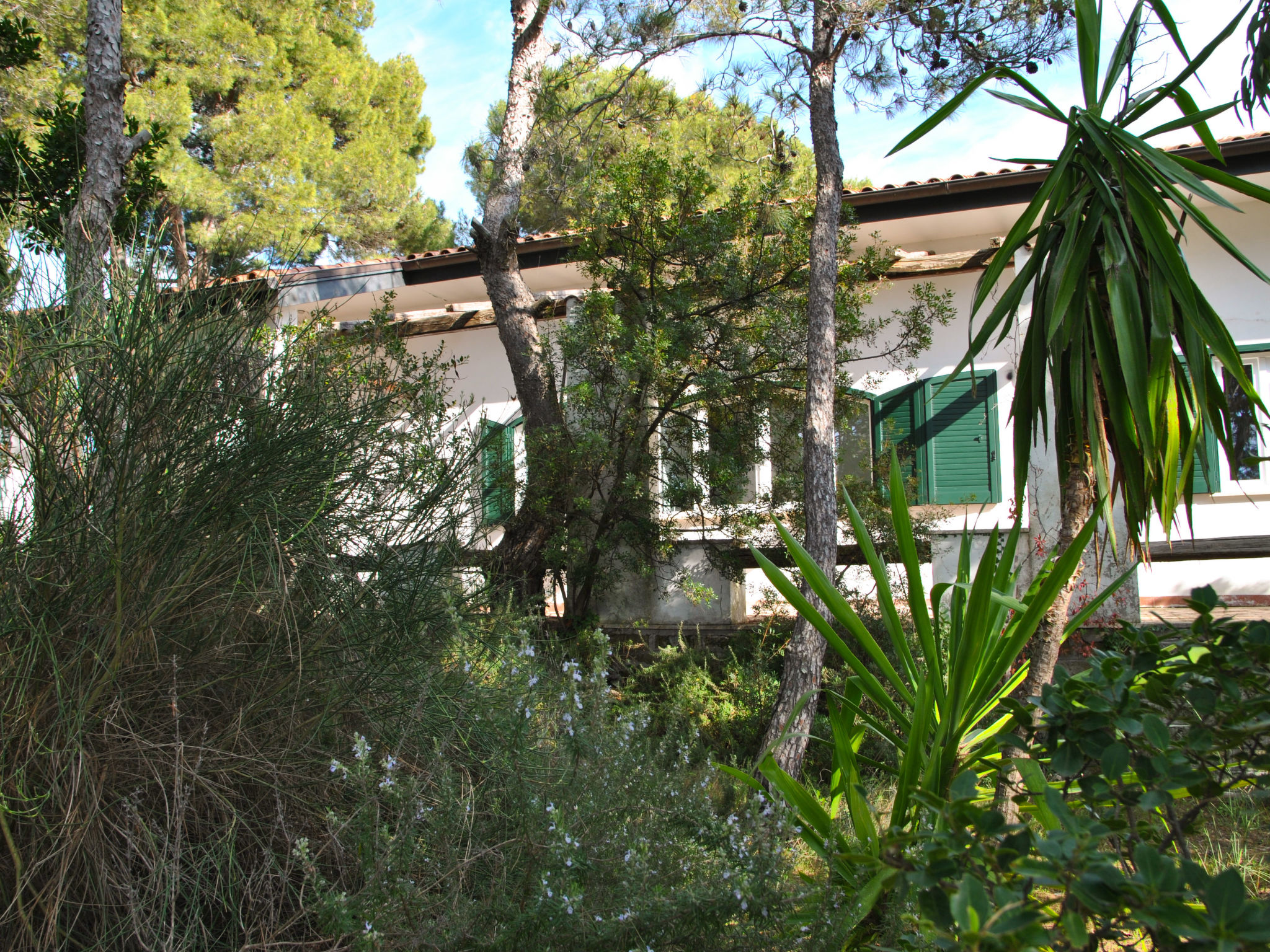 Foto 25 - Casa de 3 quartos em Sperlonga com jardim e vistas do mar