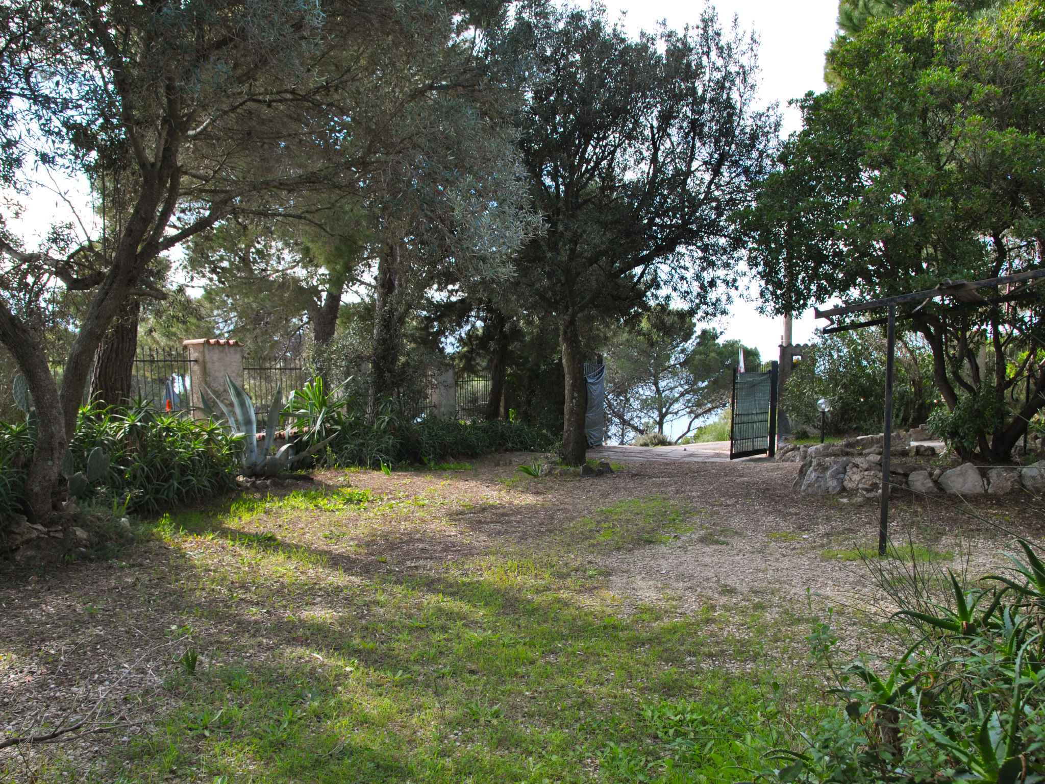 Photo 26 - Maison de 3 chambres à Sperlonga avec jardin