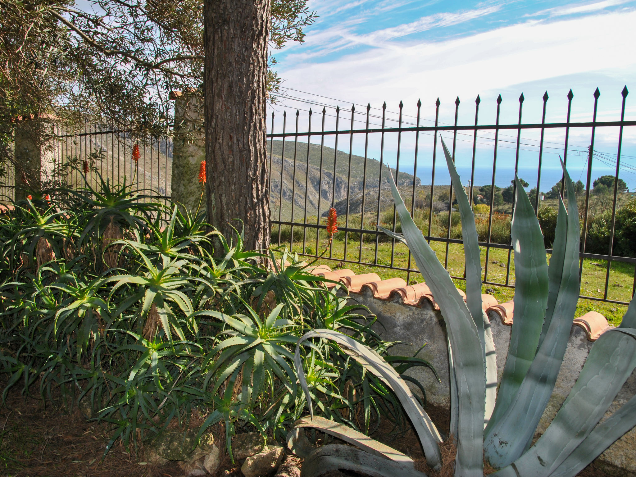 Photo 24 - Maison de 3 chambres à Sperlonga avec jardin et vues à la mer