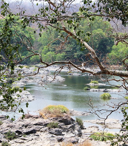 Photo – Cauvery Fishing Camp - Private Tour