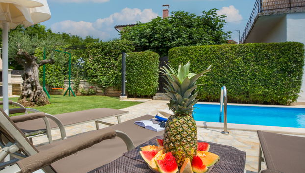 Haus mit 3 Schlafzimmern in Tinjan mit privater pool und garten - Foto 2