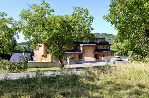 Foto 23 - Apartment mit 1 Schlafzimmer in Černý Důl mit terrasse und blick auf die berge