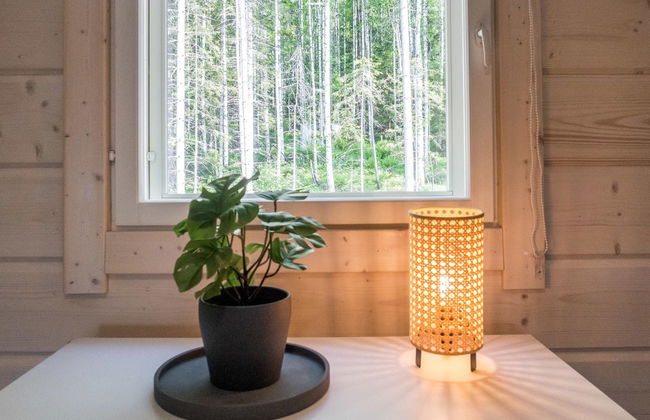 Haus mit 1 Schlafzimmer in Lieksa - Foto 20