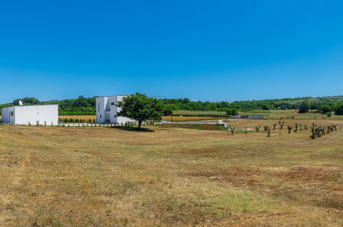 Foto 49 - Casa de 4 quartos em Barban com piscina privada e jardim