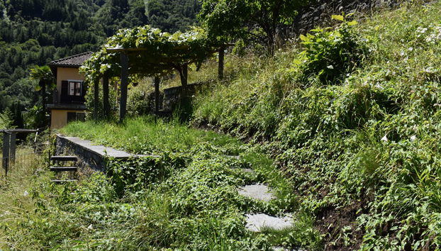 Apartamento de 1 quarto em Centovalli com piscina e jardim - Foto 5