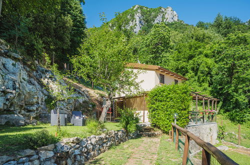 Photo 18 - Maison de 1 chambre à Stazzema avec jardin et terrasse