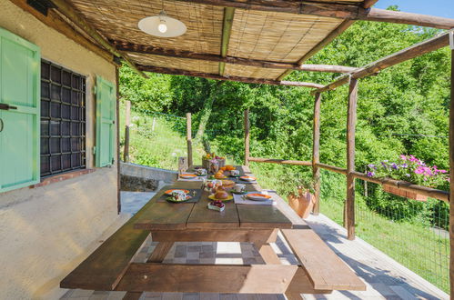 Photo 25 - Maison de 1 chambre à Stazzema avec jardin et terrasse