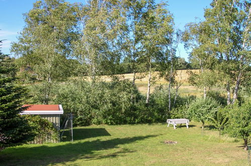 Photo 28 - Maison de 3 chambres à Tranekær avec terrasse et sauna