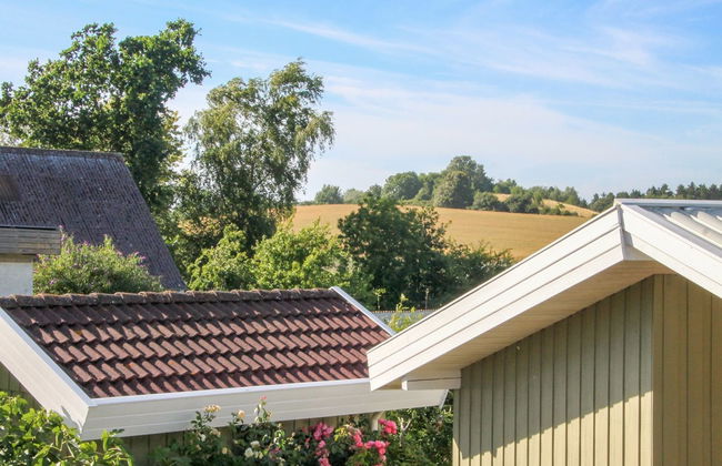 Casa de 3 quartos em Tranekær com terraço e sauna - Foto 8