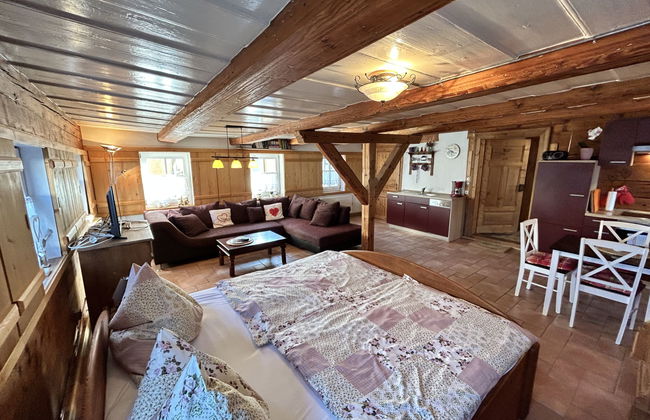 Apartamento de 1 quarto em Großschönau com jardim e sauna - Foto 2