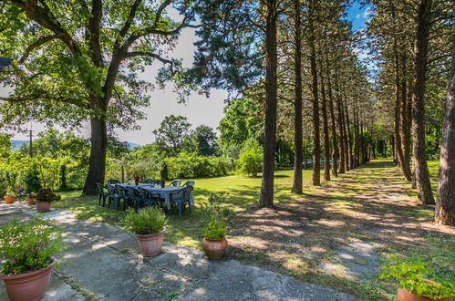 Foto 79 - Casa de 5 quartos em Cetona com piscina privada e jardim