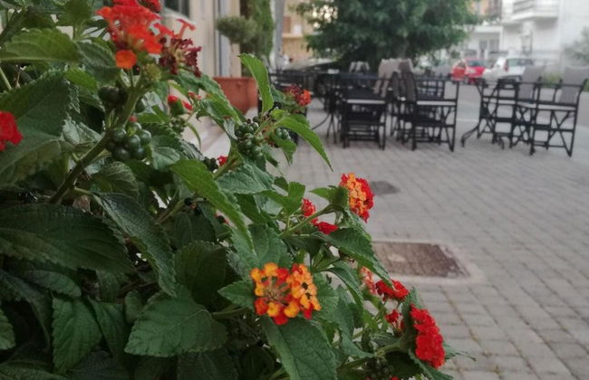 Leonidaion Guest House - Foto 6