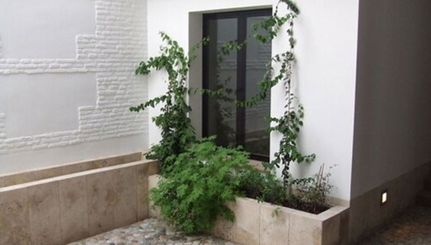 Apartamentos Coronado - Foto 4