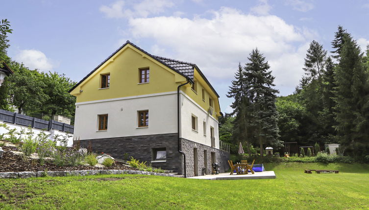 Photo 1 - Maison de 3 chambres à Petrov avec piscine privée et jardin