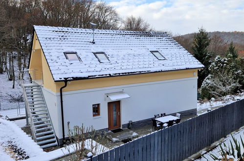 Foto 45 - Casa de 3 quartos em Petrov com piscina privada e jardim