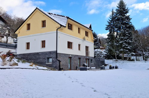 Foto 43 - Casa de 3 quartos em Petrov com piscina privada e jardim