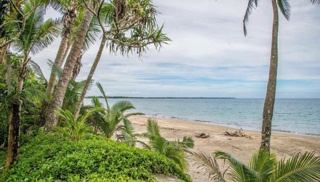 Fiji Palms - Foto 2