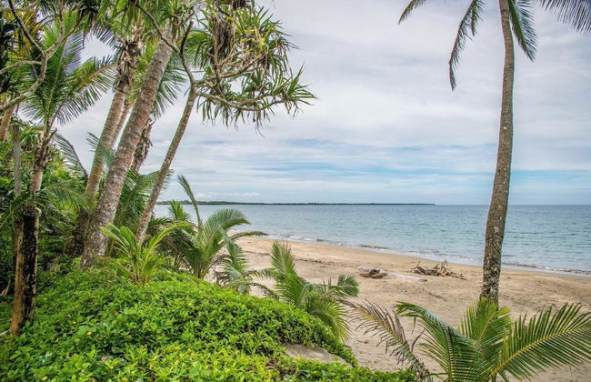 Fiji Palms - Foto 2